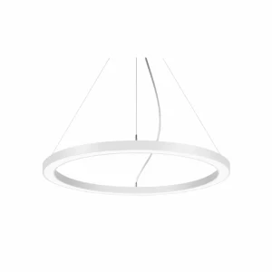 Best Sale Biro Circle Ring5 direct Ø 60 cm DALI blanc 840 Éclairage De Magasins