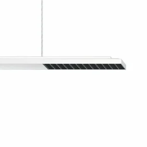 New Jilly P DALI oval wide blanc/noir 840 Éclairage De Magasins