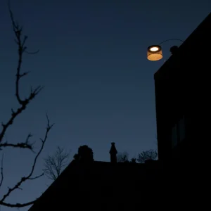 Online Twiggy Grid lampadaire arqué LED, grège Éclairage Extérieur Professionnel