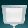 Outlet Lampadaire LED Yara.single 4 000K, BT, PIR, argent Éclairage De Bureau