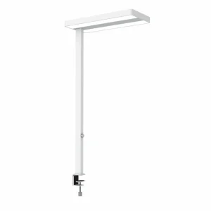 Best Lampe de table LED javal, blanc, pied à pince Éclairage De Bureau