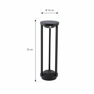 Best Borne lumineuse LED Evelis, noir, aluminium, capteur Éclairage Extérieur Professionnel