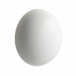 Hot Babila applique d’extérieur LED Ø28cm blanc Éclairage Extérieur Professionnel
