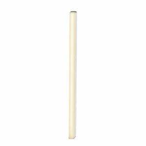 Hot Batten Réglette lumineuse LED CCT avec fiche 58,6cm Éclairage Technique